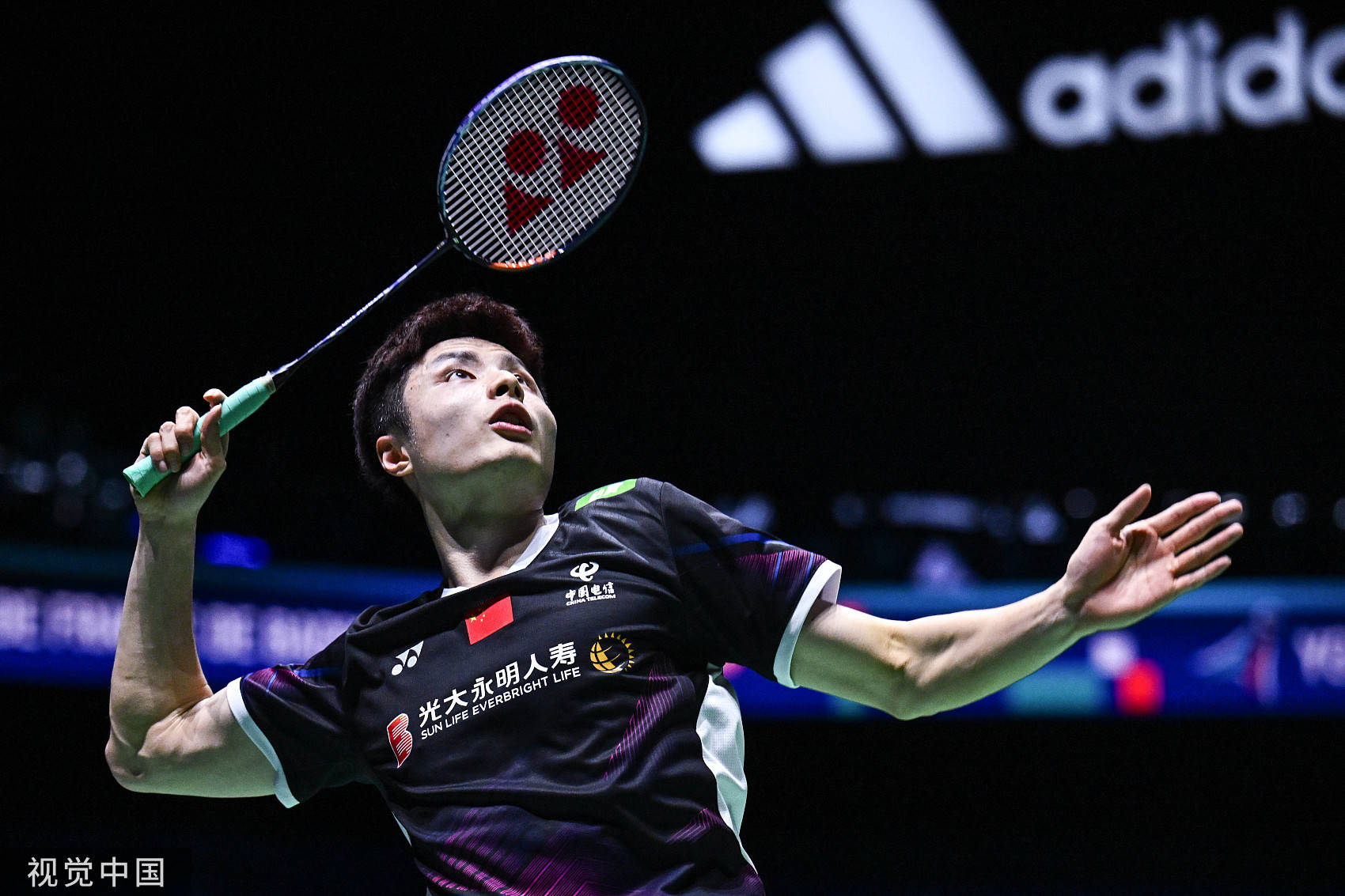 竞争和多样 竞争和多样