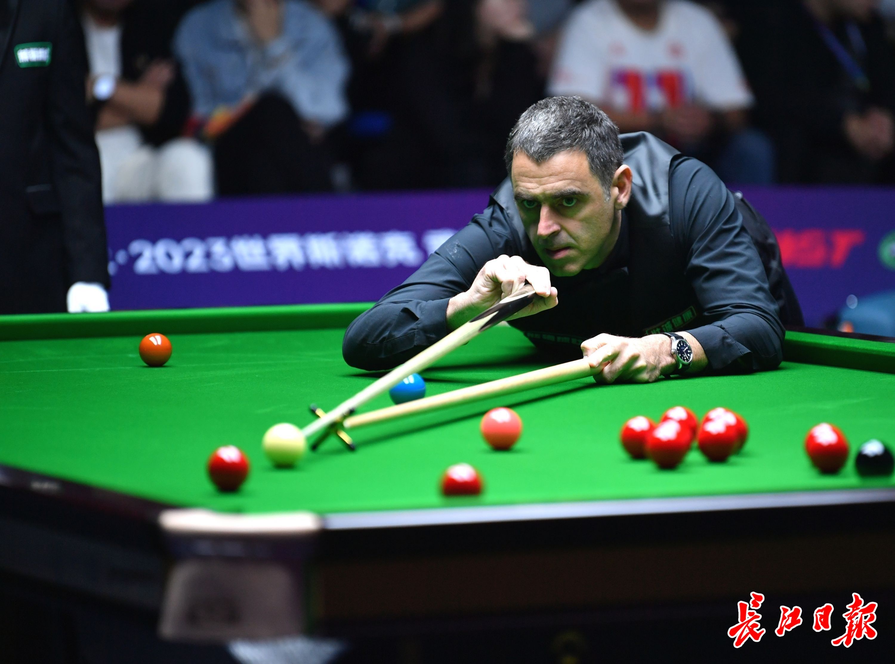 稳定性高 稳定性高