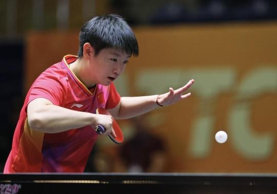 元化发展 元化发展